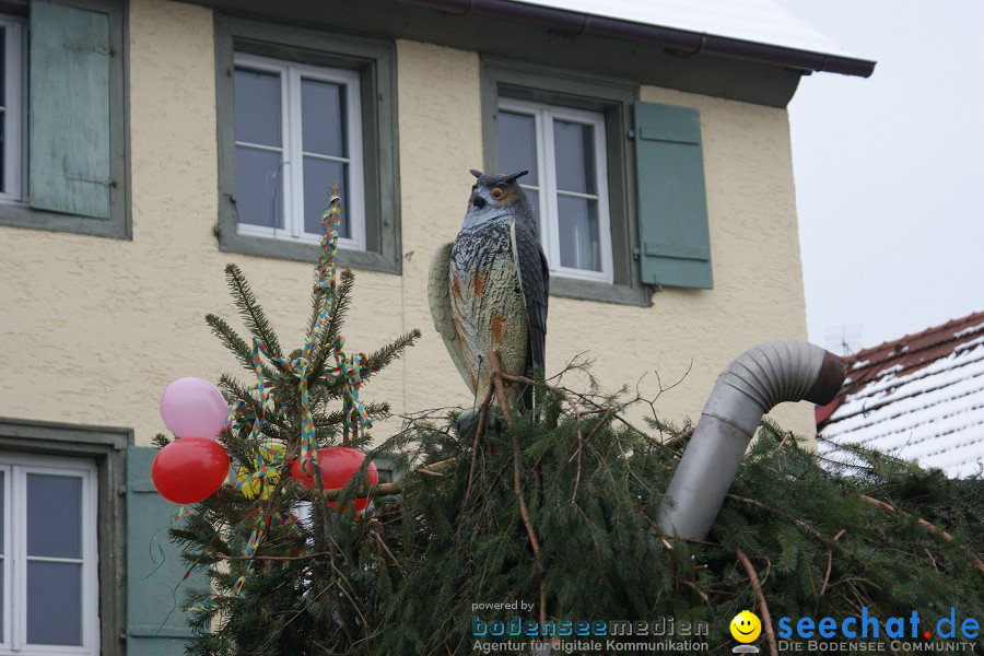 Narrensprung - Besenwirtschaft: Nenzingen, 14.02.2010