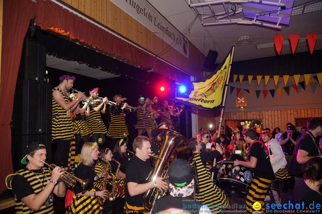 Hugeloh-Ball: Leimbach bei Markdorf am Bodensee, 12.01.2019