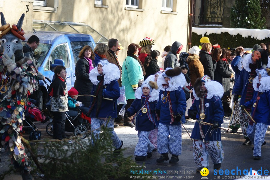 Narrenumzug: Villingen, 16.02.2010