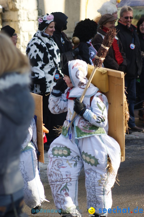 Narrenumzug: Villingen, 16.02.2010