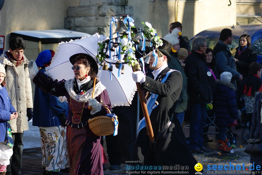 Narrenumzug: Villingen, 16.02.2010