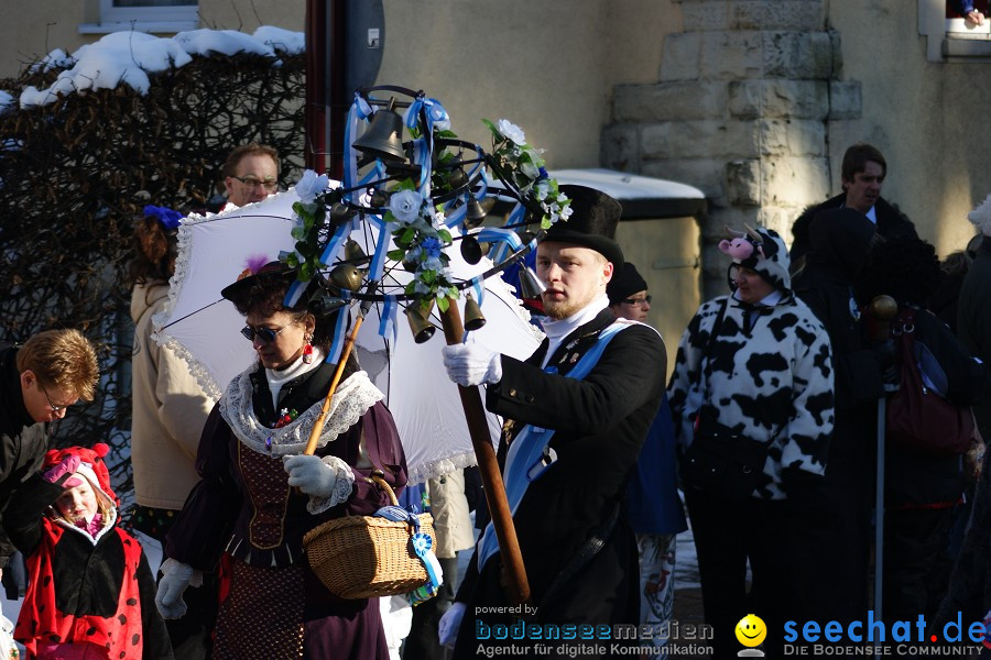 Narrenumzug: Villingen, 16.02.2010