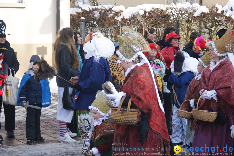 Narrenumzug: Villingen, 16.02.2010