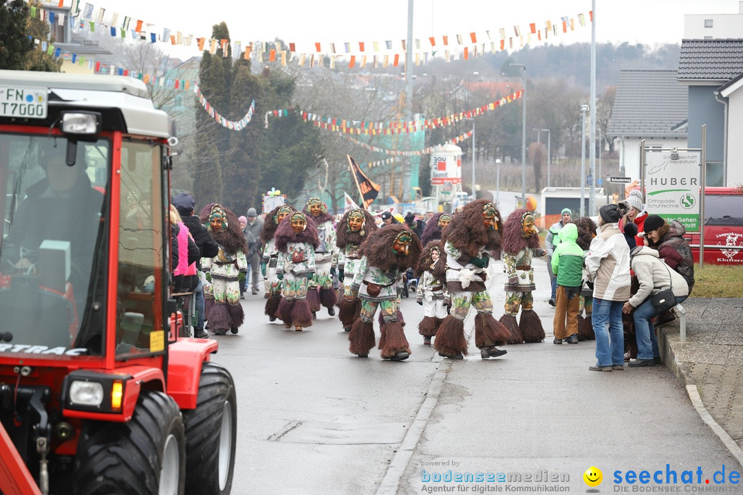 Narrenbaumstellen: Berg am Bodensee, 26.01.2019