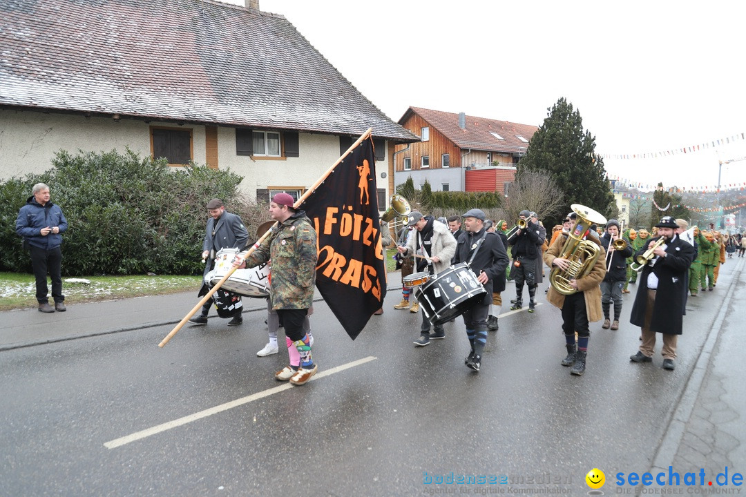 Narrenbaumstellen: Berg am Bodensee, 26.01.2019