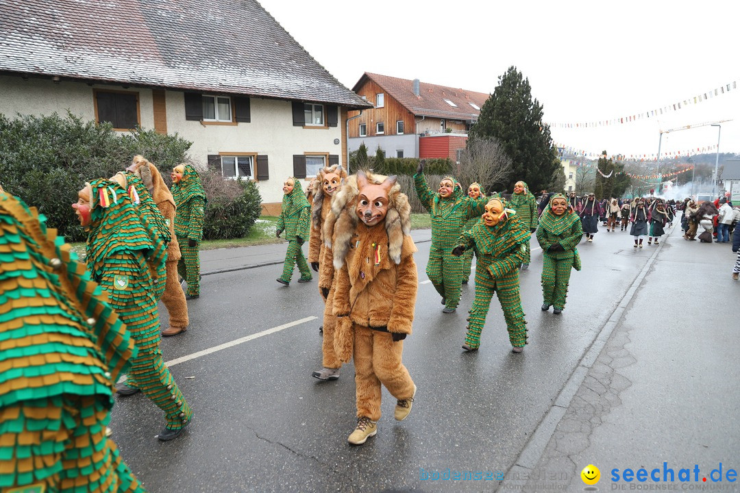 Narrenbaumstellen: Berg am Bodensee, 26.01.2019