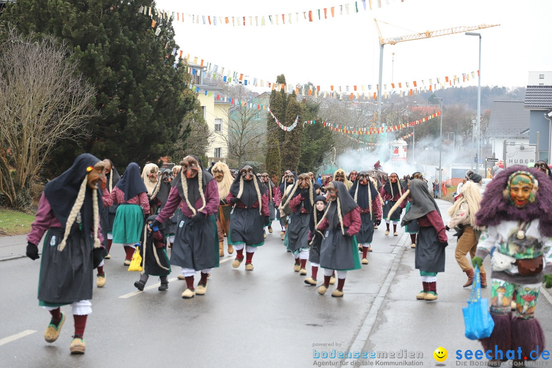 Narrenbaumstellen: Berg am Bodensee, 26.01.2019