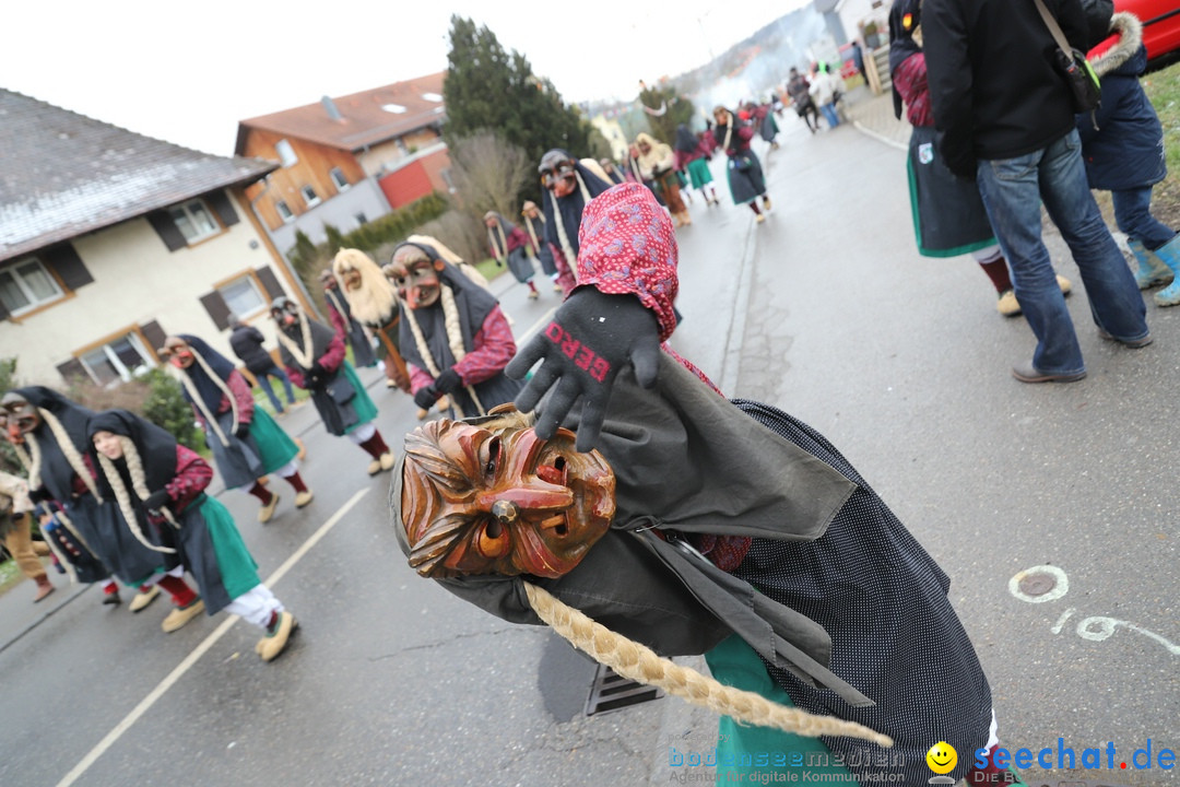 Narrenbaumstellen: Berg am Bodensee, 26.01.2019