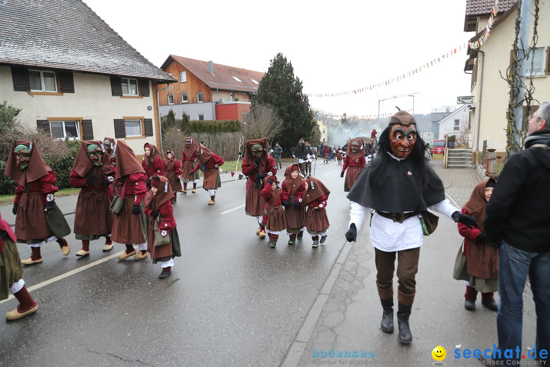 Narrenbaumstellen: Berg am Bodensee, 26.01.2019