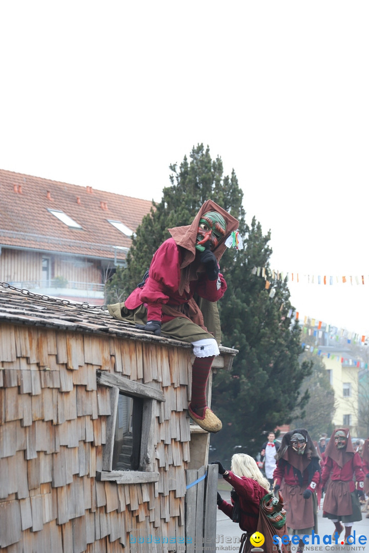 Narrenbaumstellen: Berg am Bodensee, 26.01.2019