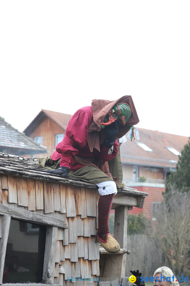 Narrenbaumstellen: Berg am Bodensee, 26.01.2019