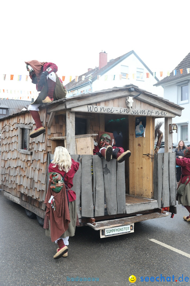 Narrenbaumstellen: Berg am Bodensee, 26.01.2019