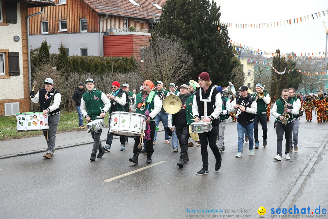 Narrenbaumstellen: Berg am Bodensee, 26.01.2019