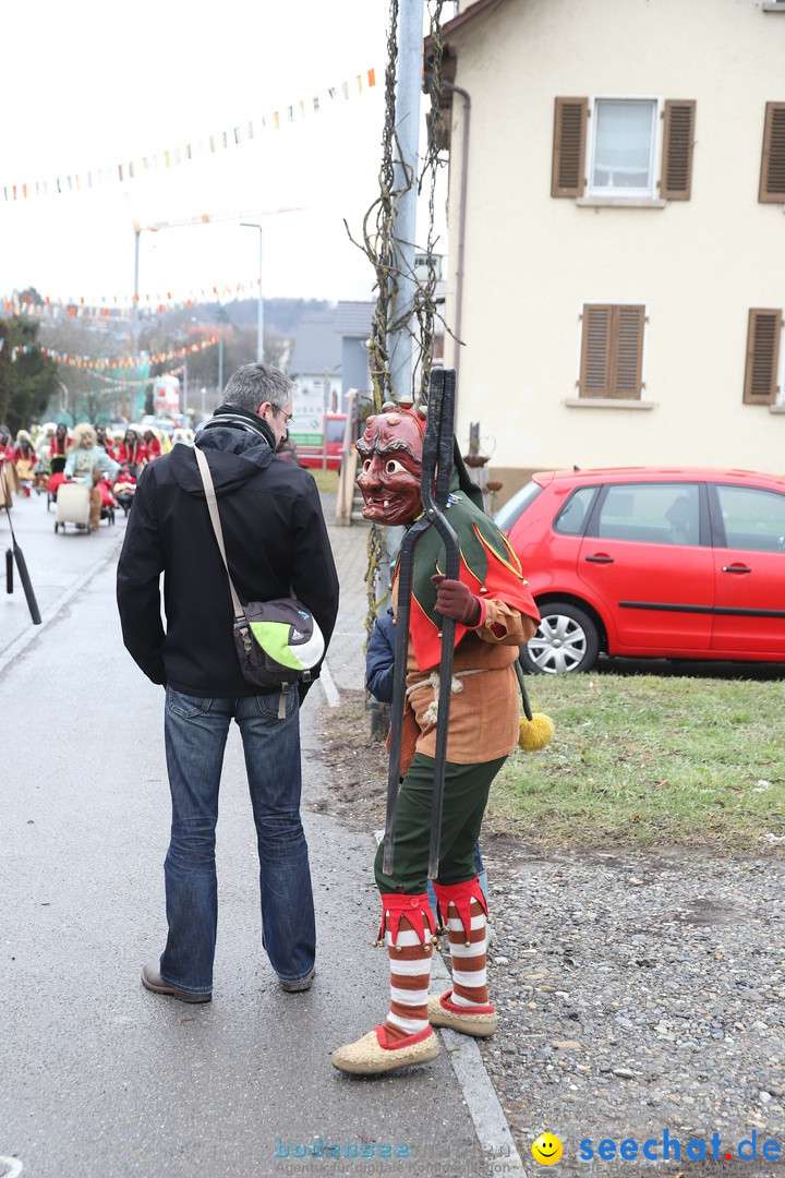 Narrenbaumstellen: Berg am Bodensee, 26.01.2019