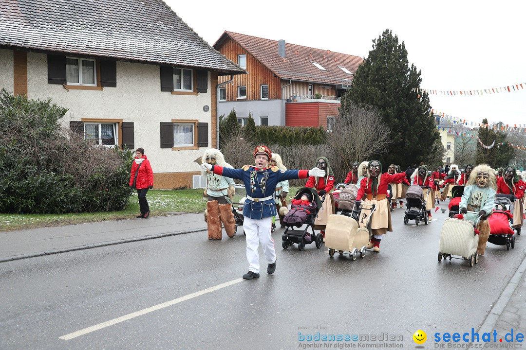 Narrenbaumstellen: Berg am Bodensee, 26.01.2019