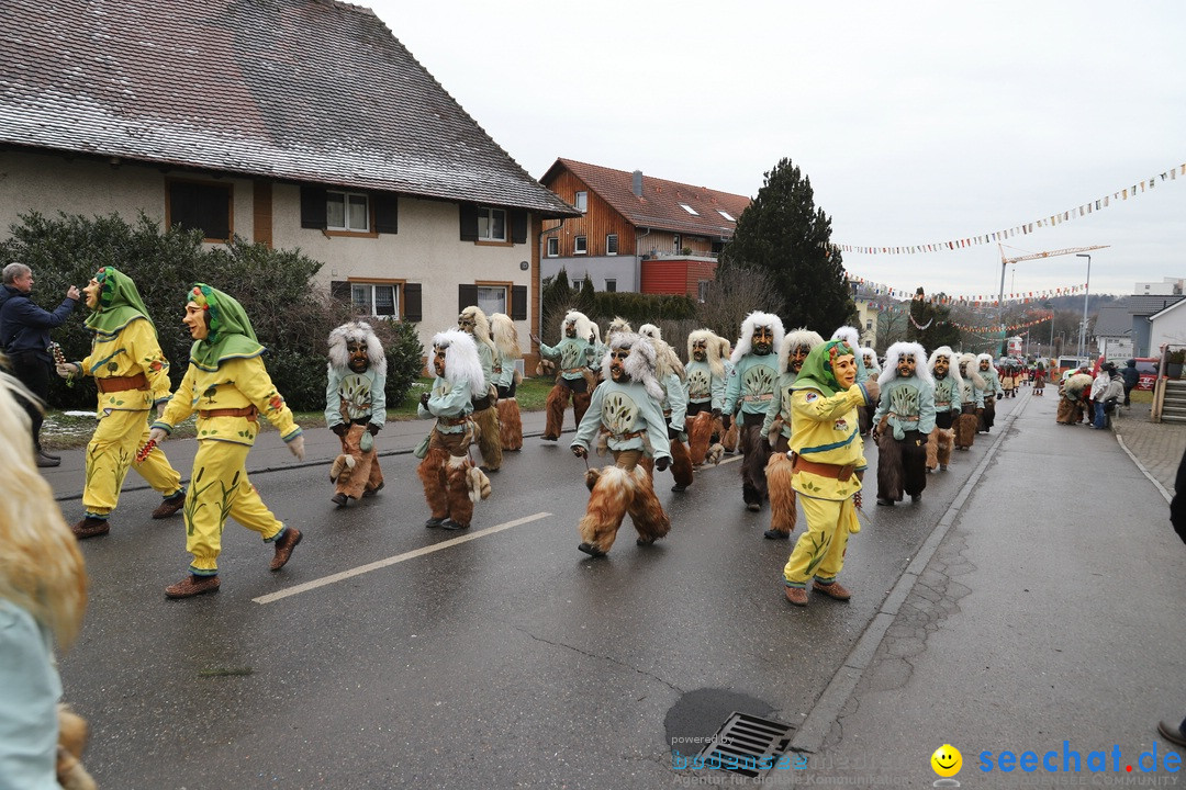 Narrenbaumstellen: Berg am Bodensee, 26.01.2019