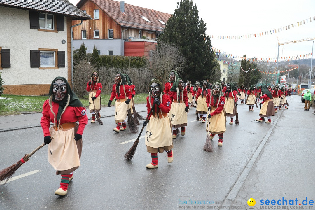 Narrenbaumstellen: Berg am Bodensee, 26.01.2019