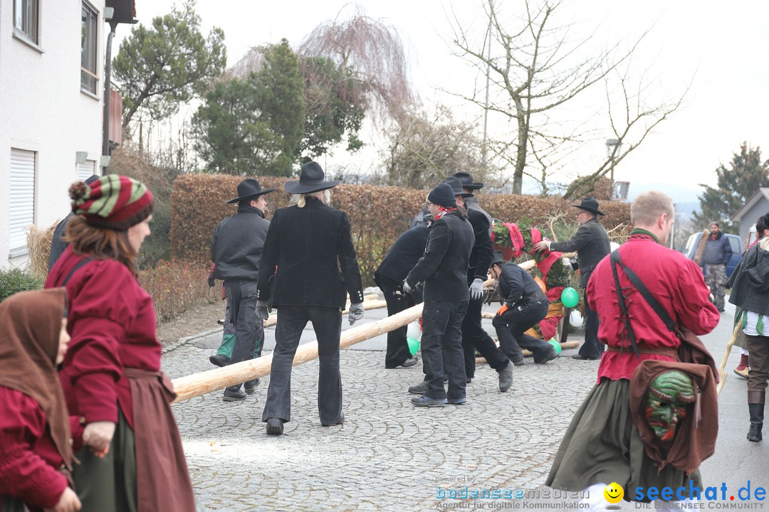 Narrenbaumstellen: Berg am Bodensee, 26.01.2019