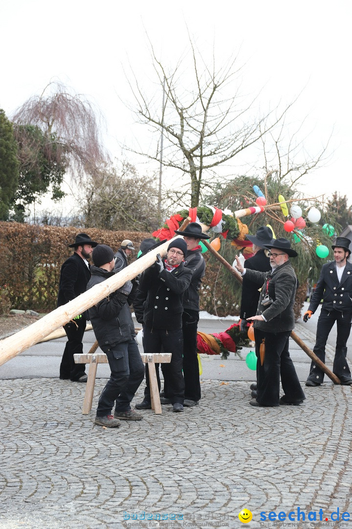 Narrenbaumstellen: Berg am Bodensee, 26.01.2019