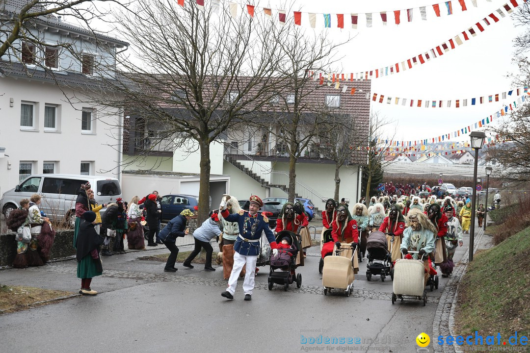 Narrenbaumstellen: Berg am Bodensee, 26.01.2019