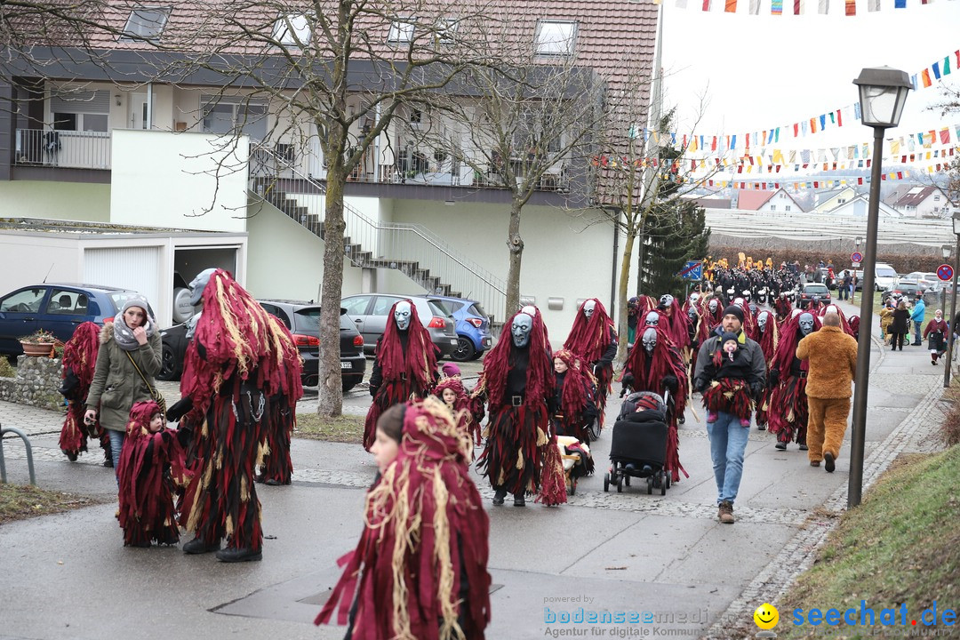 Narrenbaumstellen: Berg am Bodensee, 26.01.2019