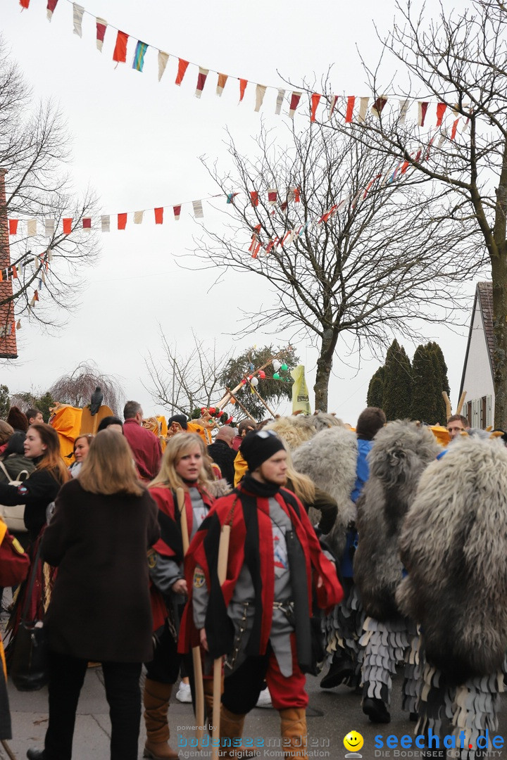 Narrenbaumstellen: Berg am Bodensee, 26.01.2019