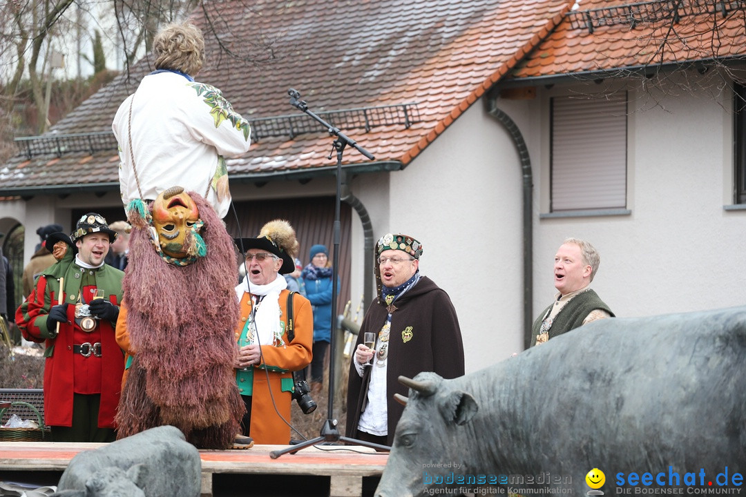 Narrenbaumstellen: Berg am Bodensee, 26.01.2019