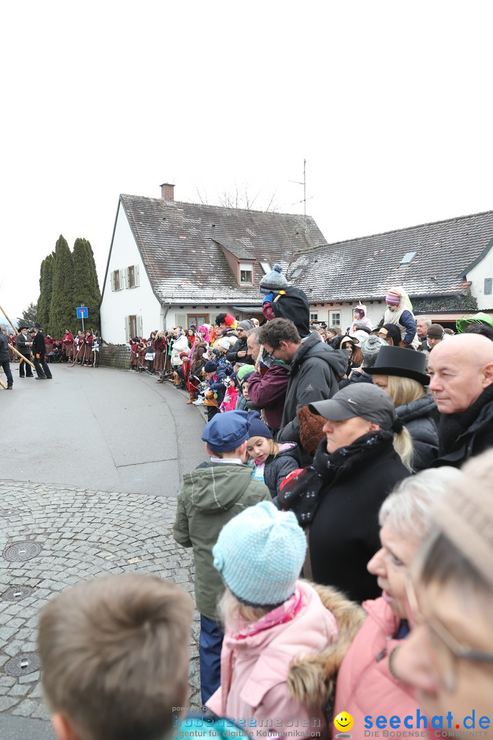 Narrenbaumstellen: Berg am Bodensee, 26.01.2019