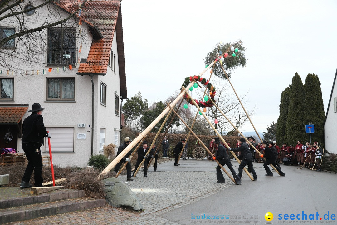 Narrenbaumstellen: Berg am Bodensee, 26.01.2019