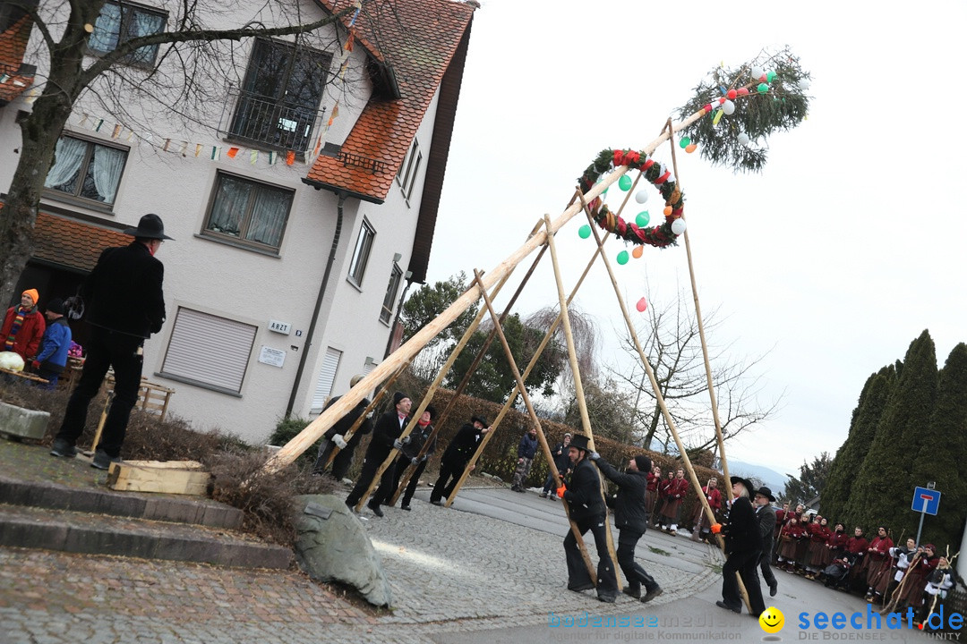 Narrenbaumstellen: Berg am Bodensee, 26.01.2019