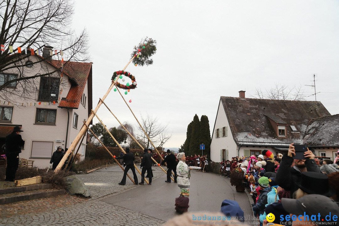 Narrenbaumstellen: Berg am Bodensee, 26.01.2019