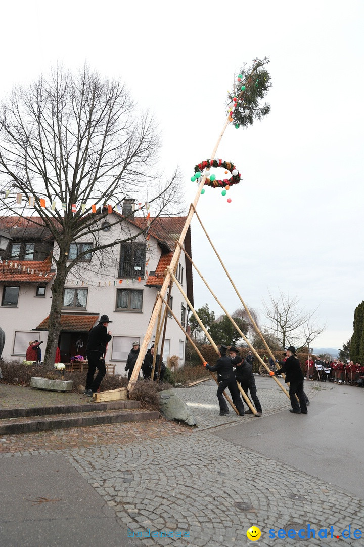 Narrenbaumstellen: Berg am Bodensee, 26.01.2019