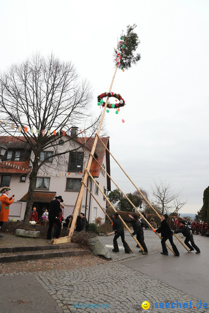 Narrenbaumstellen: Berg am Bodensee, 26.01.2019