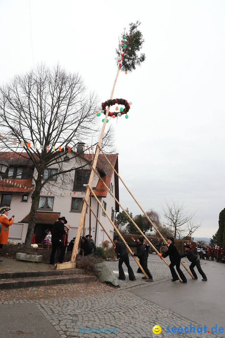 Narrenbaumstellen: Berg am Bodensee, 26.01.2019