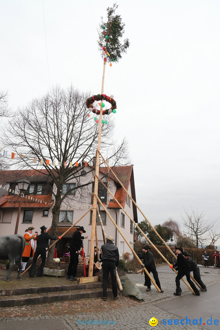 Narrenbaumstellen: Berg am Bodensee, 26.01.2019