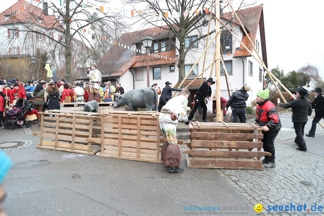 Narrenbaumstellen: Berg am Bodensee, 26.01.2019