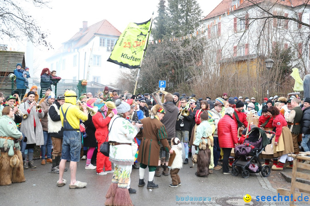 Narrenbaumstellen: Berg am Bodensee, 26.01.2019