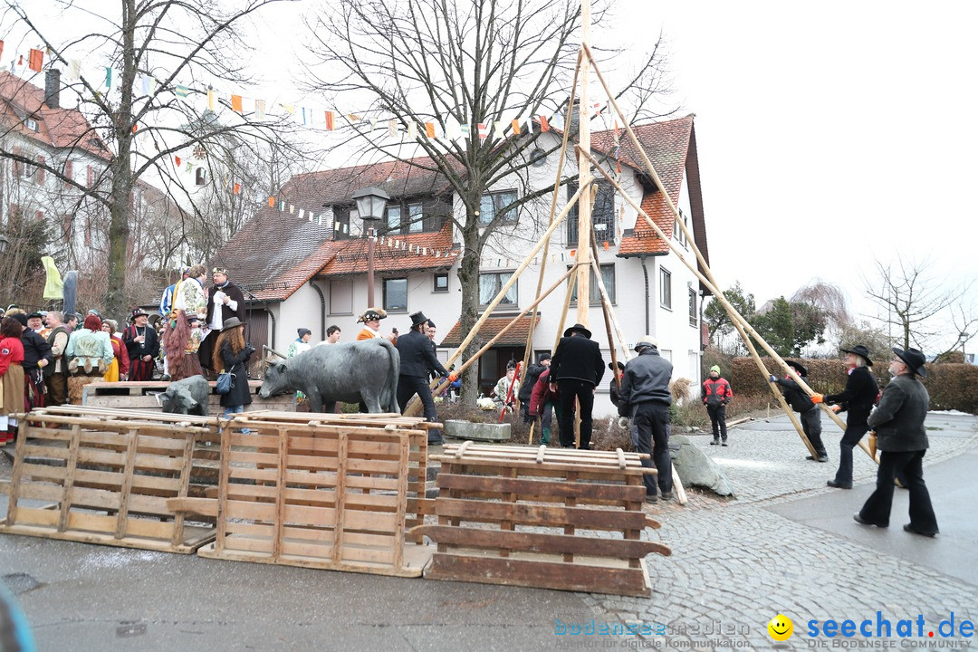 Narrenbaumstellen: Berg am Bodensee, 26.01.2019