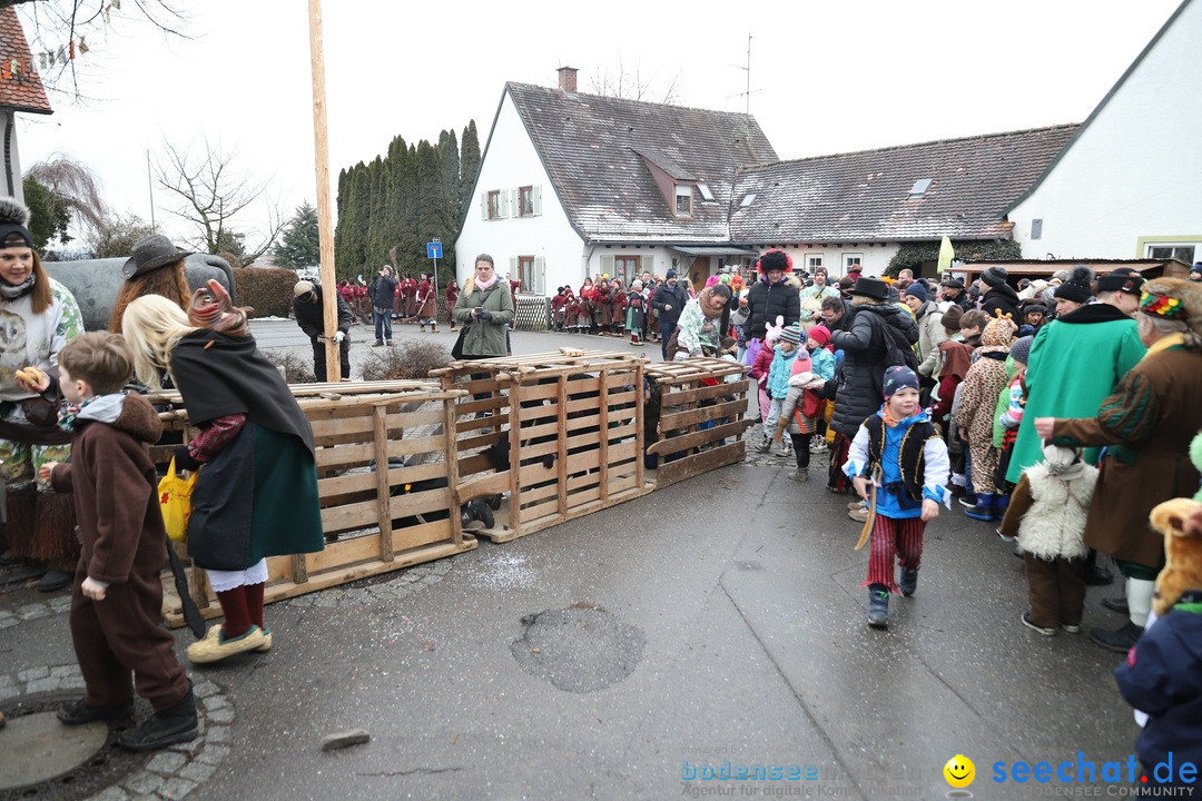 Narrenbaumstellen: Berg am Bodensee, 26.01.2019