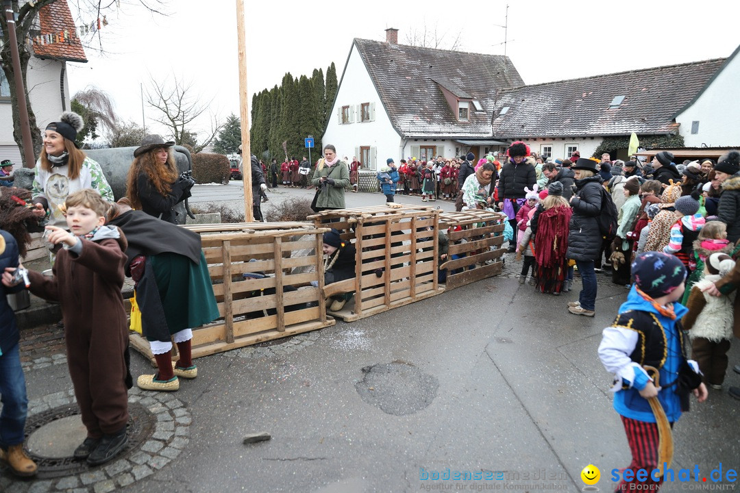 Narrenbaumstellen: Berg am Bodensee, 26.01.2019