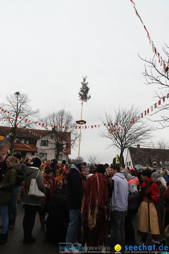 Narrenbaumstellen: Berg am Bodensee, 26.01.2019