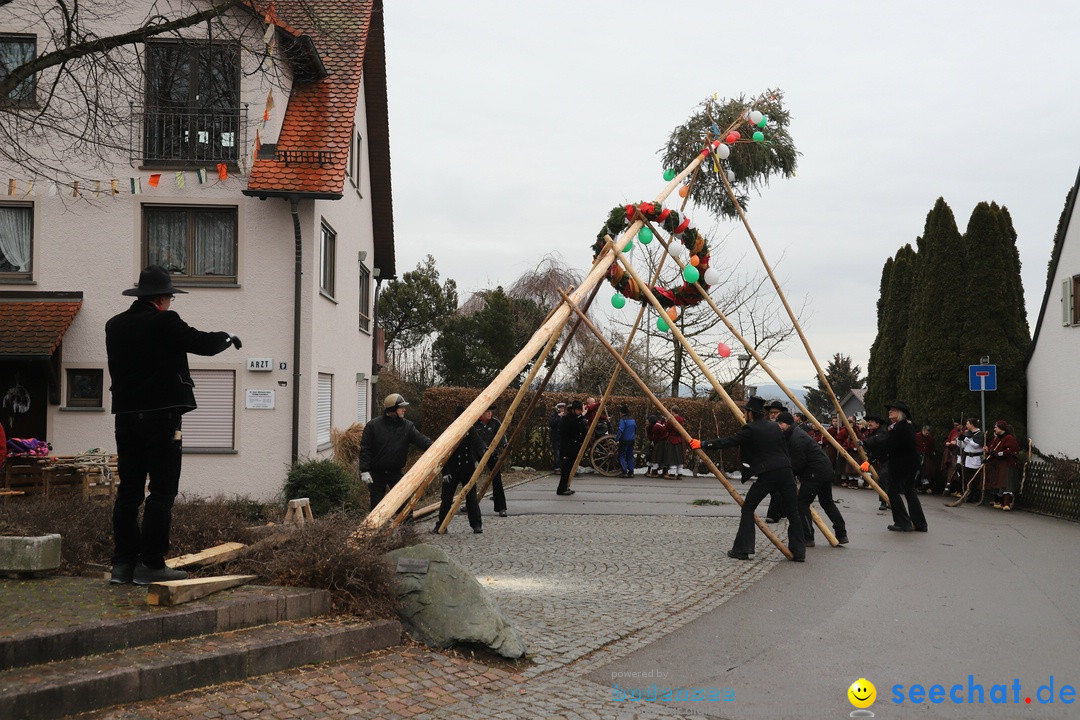 Narrenbaumstellen: Berg am Bodensee, 26.01.2019