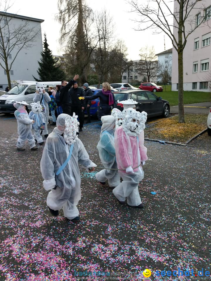 Fasnachtsumzug: Dietikon - Schweiz, 26.01.2019