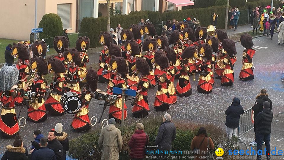 Fasnachtsumzug: Dietikon - Schweiz, 26.01.2019