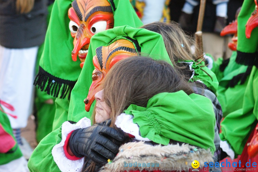 Narrenumzug: Villingen, 16.02.2010