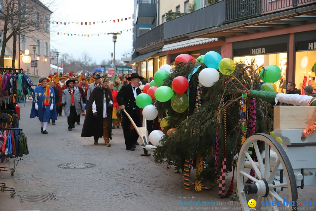 Gruenderumzug und Narrenbaumstellen: Friedrichshafen, 02.02.2019