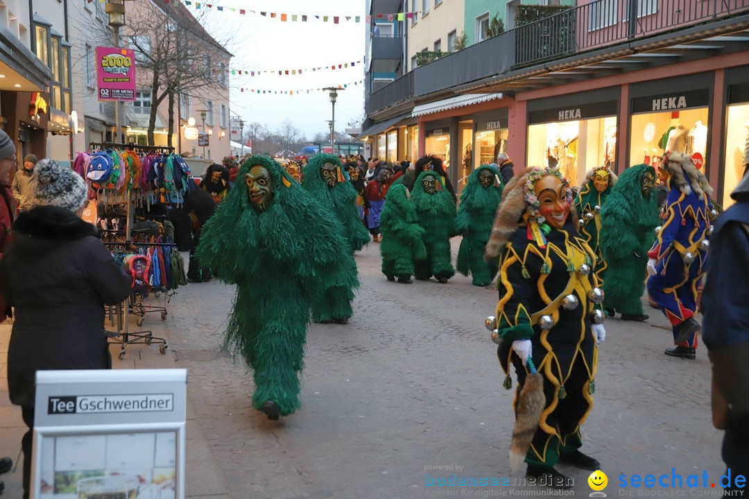 Gruenderumzug und Narrenbaumstellen: Friedrichshafen, 02.02.2019