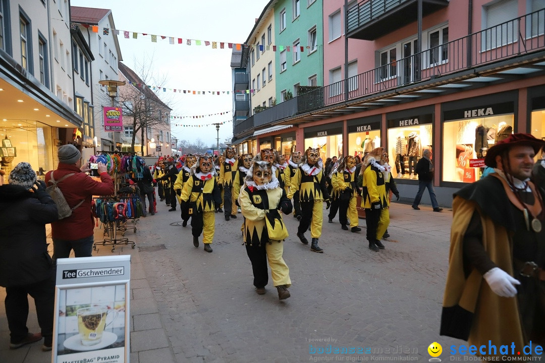 Gruenderumzug und Narrenbaumstellen: Friedrichshafen, 02.02.2019