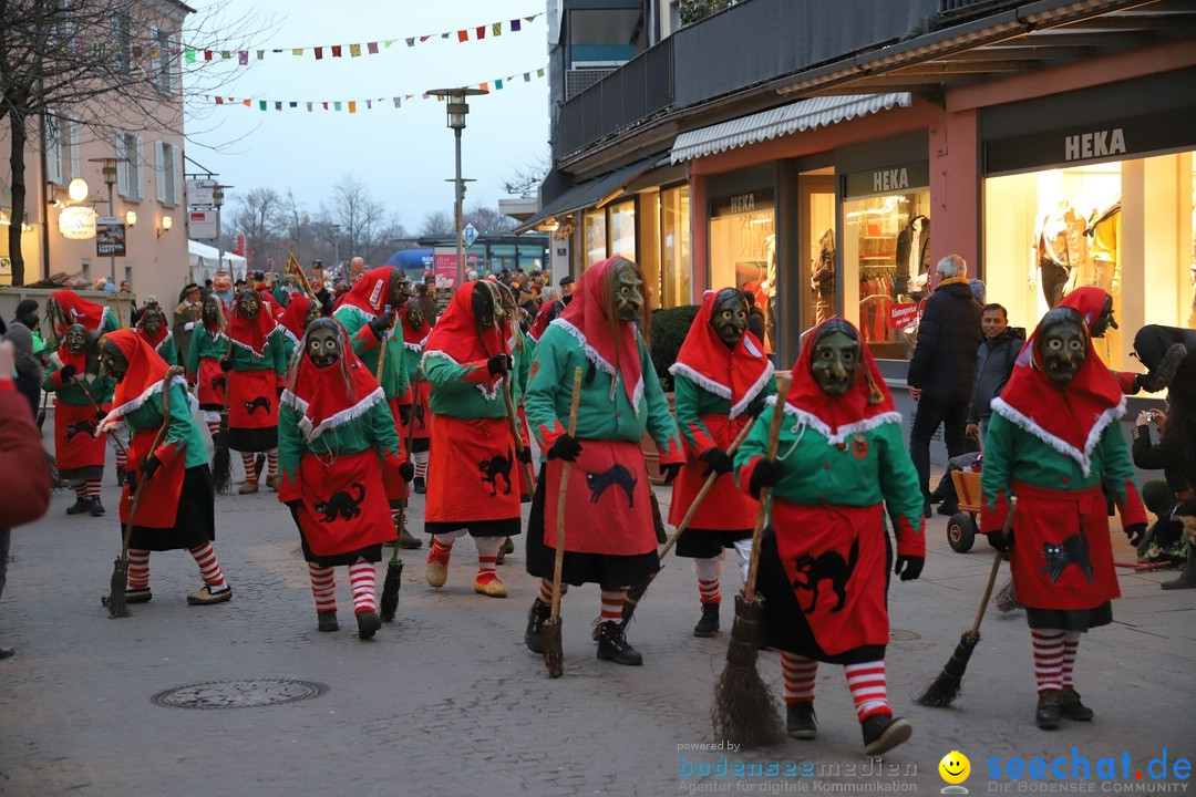 Gruenderumzug und Narrenbaumstellen: Friedrichshafen, 02.02.2019