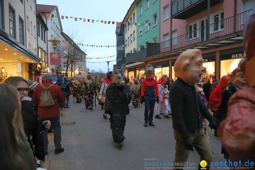 Gruenderumzug und Narrenbaumstellen: Friedrichshafen, 02.02.2019